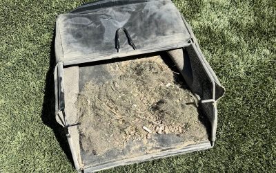 Turf Cleaning service (3) Turf Cleaning Service 3