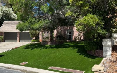 turf replacement las vegas nevada Turf Replacement Las Vegas Nevada